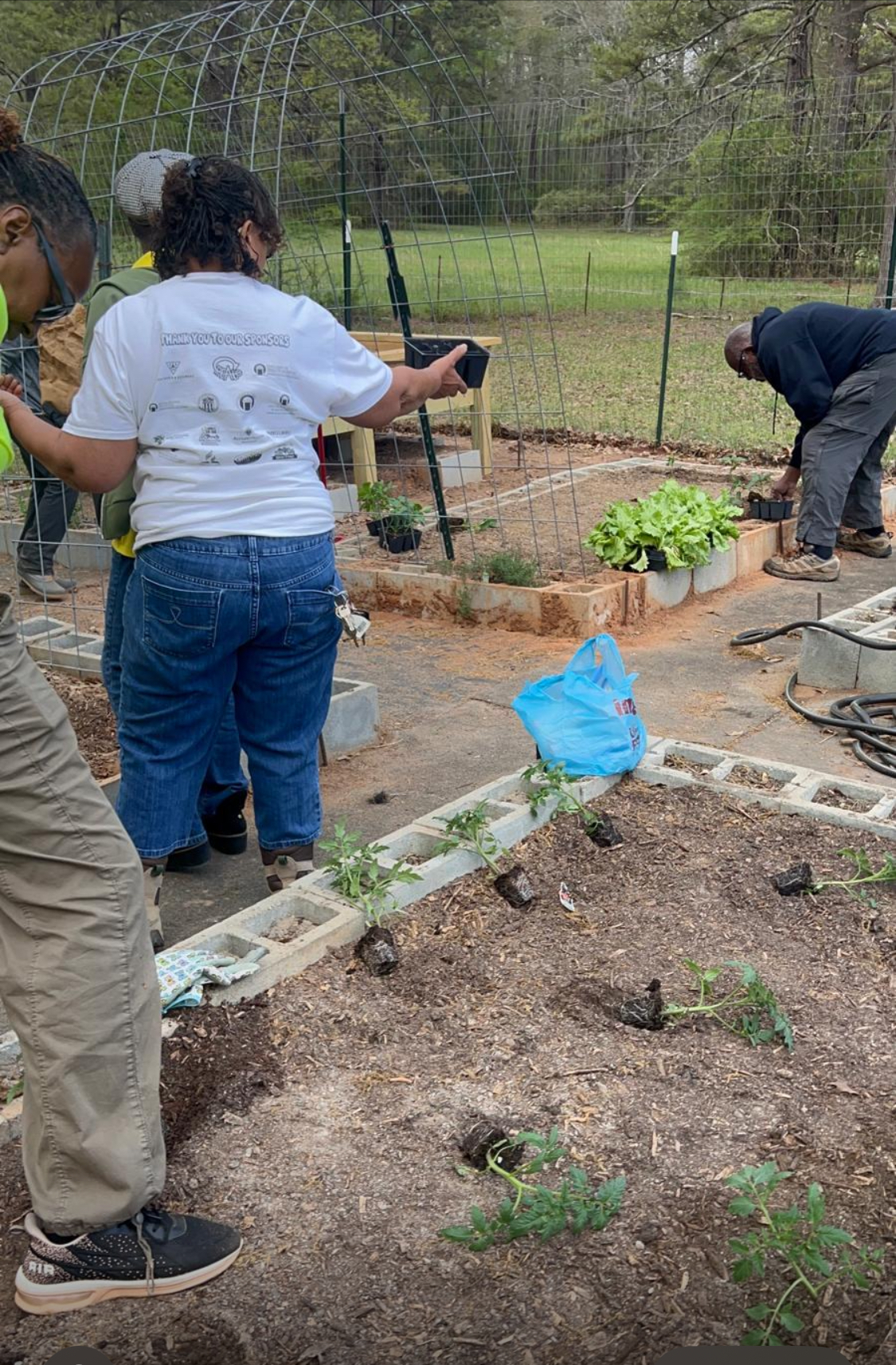 Community garden